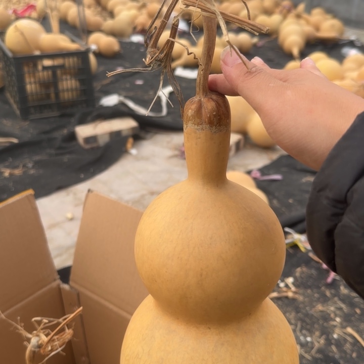 咕噜咕噜咕噜咕噜