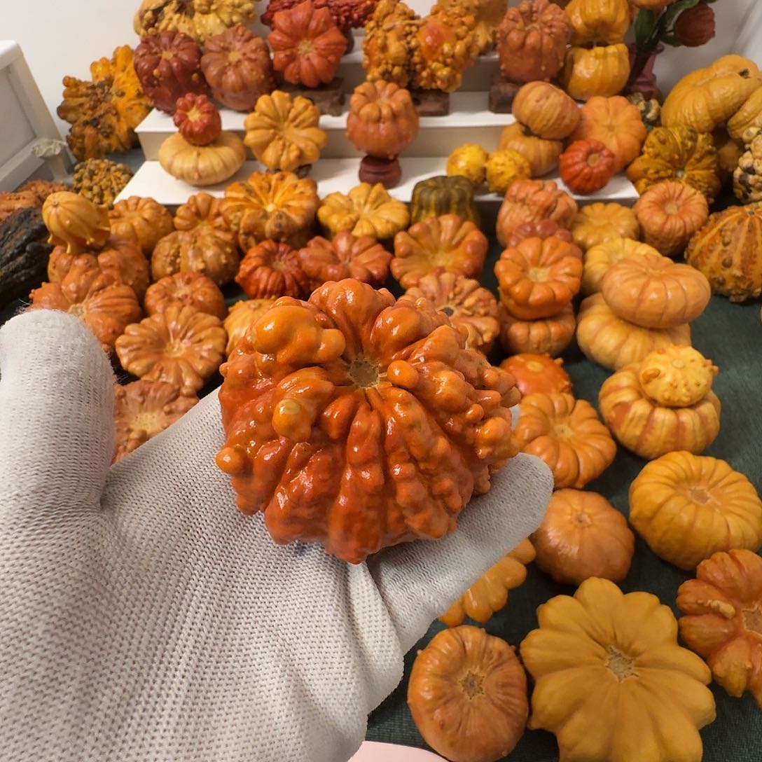 小***东墨西哥葫芦疙瘩罐子