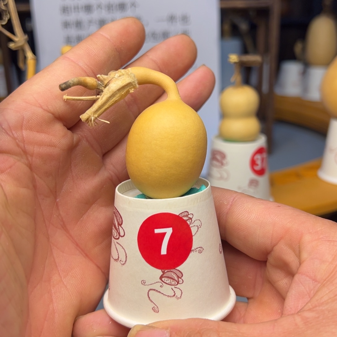 闪电购自助下单编号07