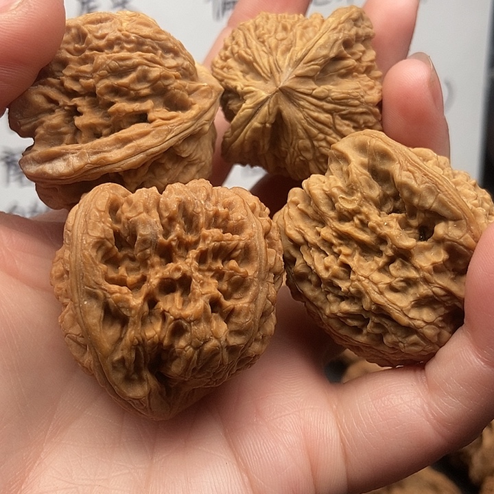 清***月大大大大大大大南疆黄金甲