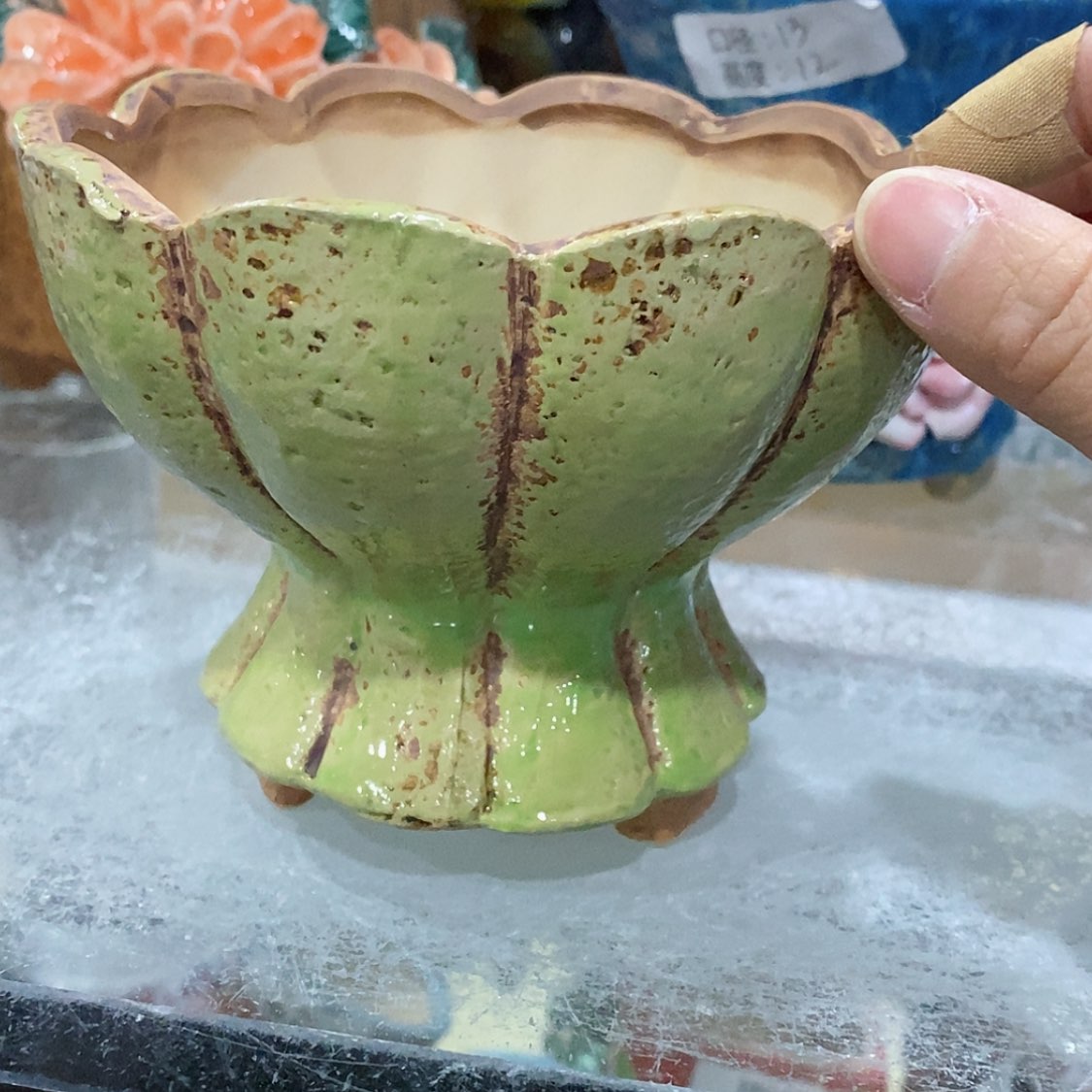 【闪购商品】红陶福利