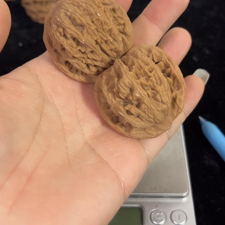 文玩核桃把件42左右麦穗虎头微瑕，编号014