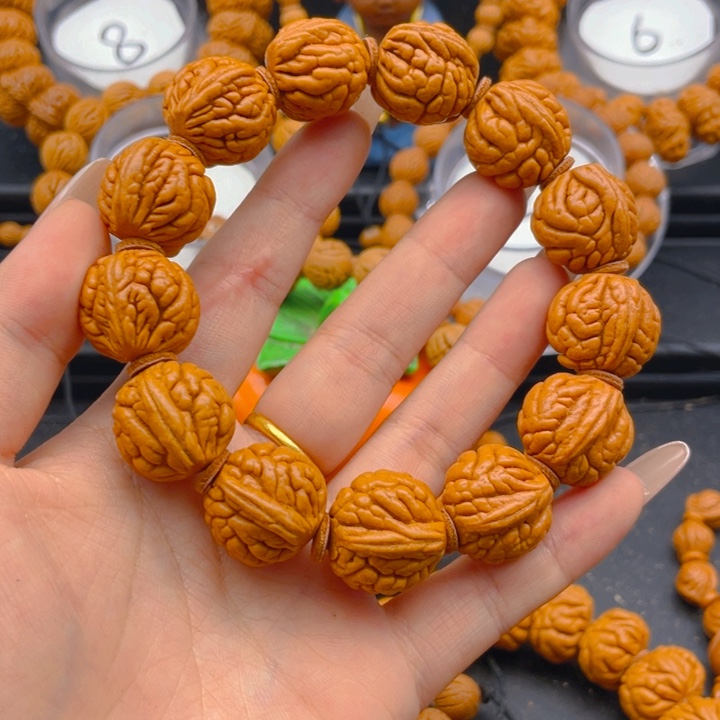 木质类权权权权权20霸王龙2.0