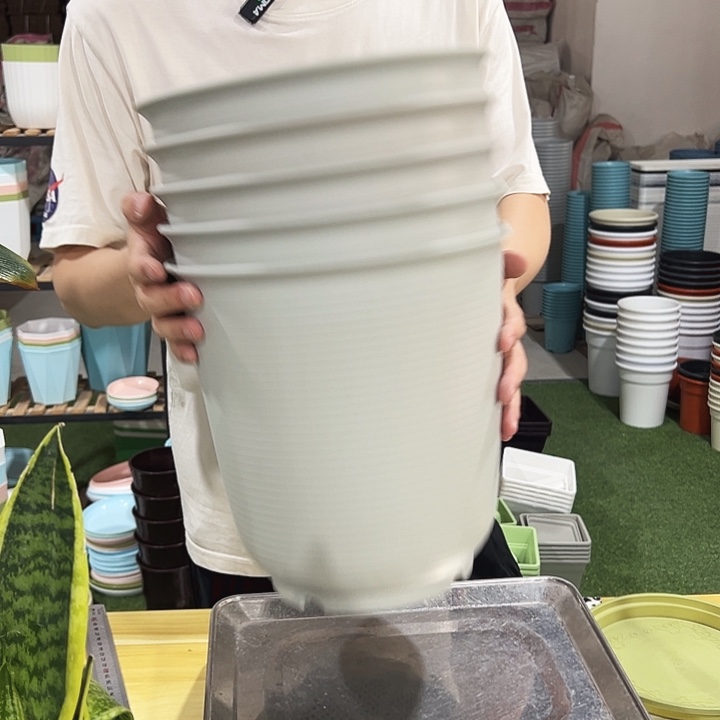 高陶口27高27灰白无托5只