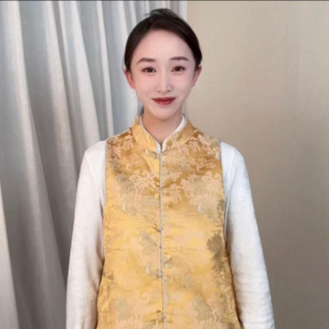 俏佳人马甲女新中式夏季复古中国风民族风网红女士马甲