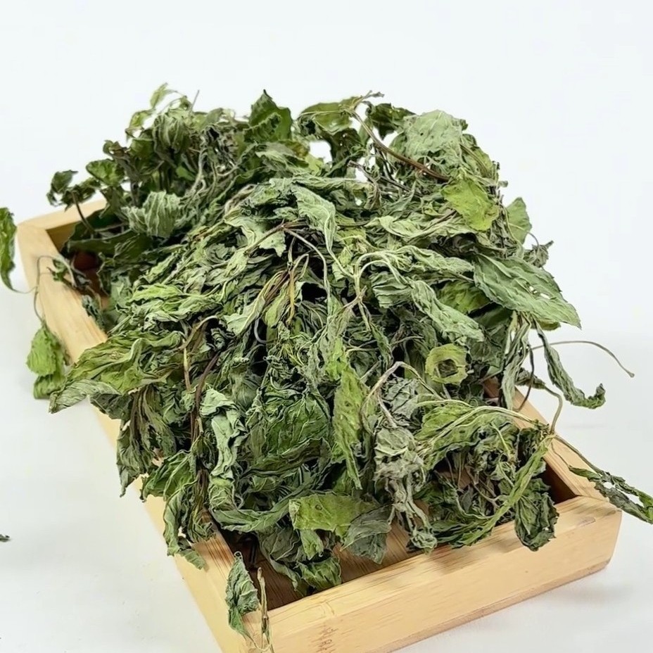 嫩叶薄荷天然野生纯叶子中药材新鲜干货薄荷梗薄荷茶