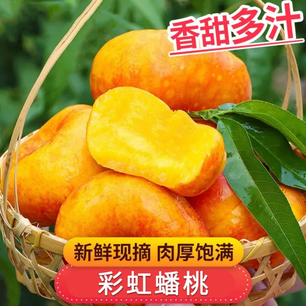 【树品源】山西彩虹油蟠桃7号  肉厚多汁 新鲜采摘 坏果包赔