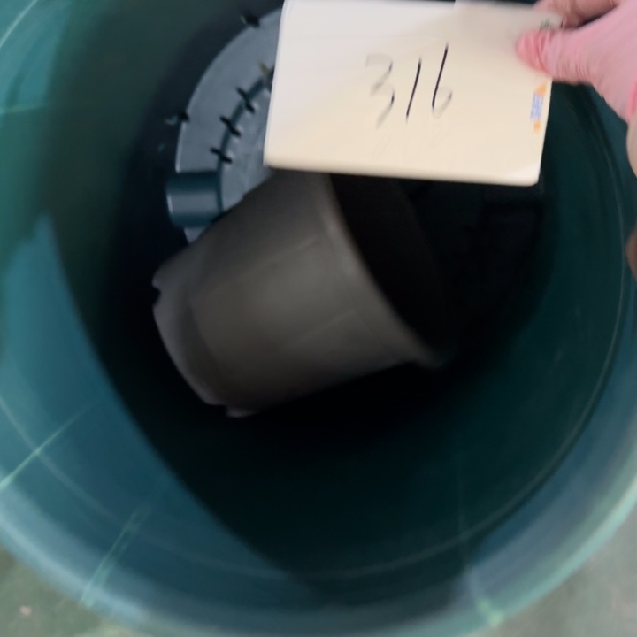 编号316微瑕串色口径46