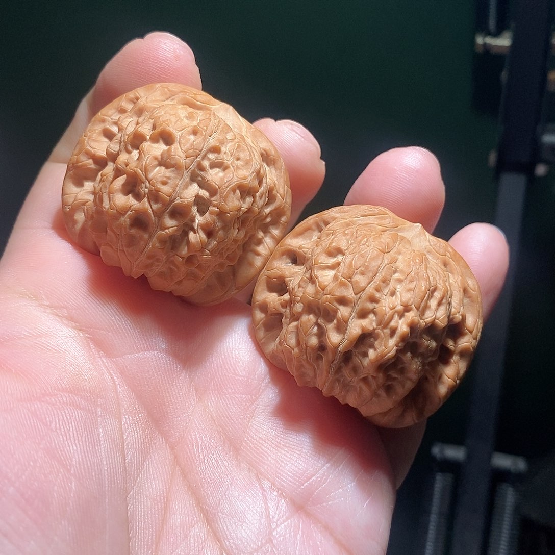 把件文玩核桃41血麒麟全品