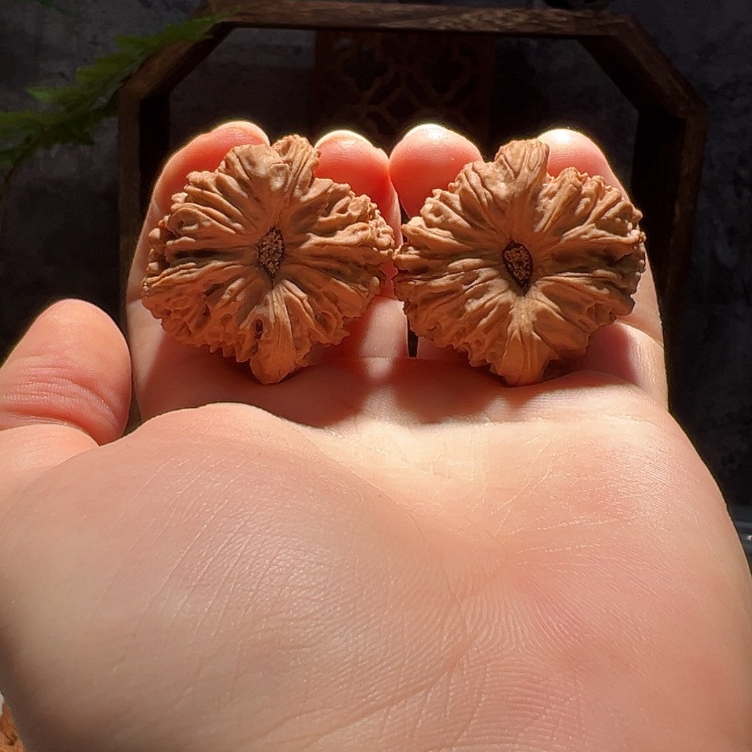 核桃手串/手链40.5拉丝魔眼黄多福利