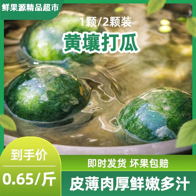 「鲜果源小时达」内蒙古赤峰特产 黄壤打瓜 [一颗/两颗装]内蒙古自治区