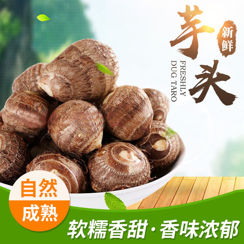 【出口精选】云南牛奶小芋头毛芋头蔬菜新鲜现挖软糯当季新鲜蔬菜
