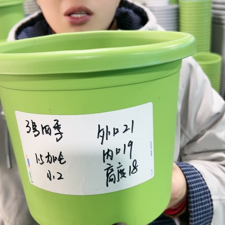 特价3号四季口21高18白色无托10只