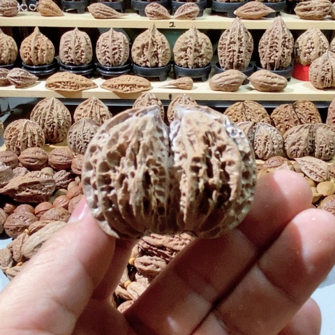 文玩核桃把件单只