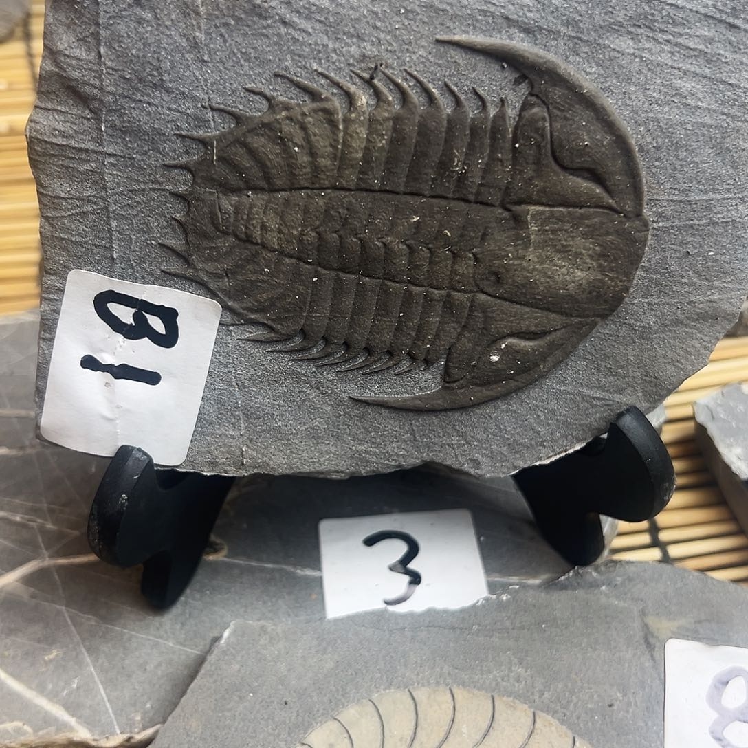 泥塑沉积岩石头摆件