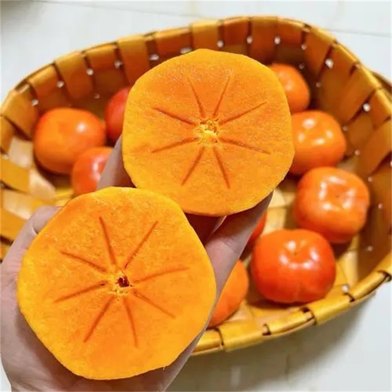 脆柿 一盒4粒 脆甜 