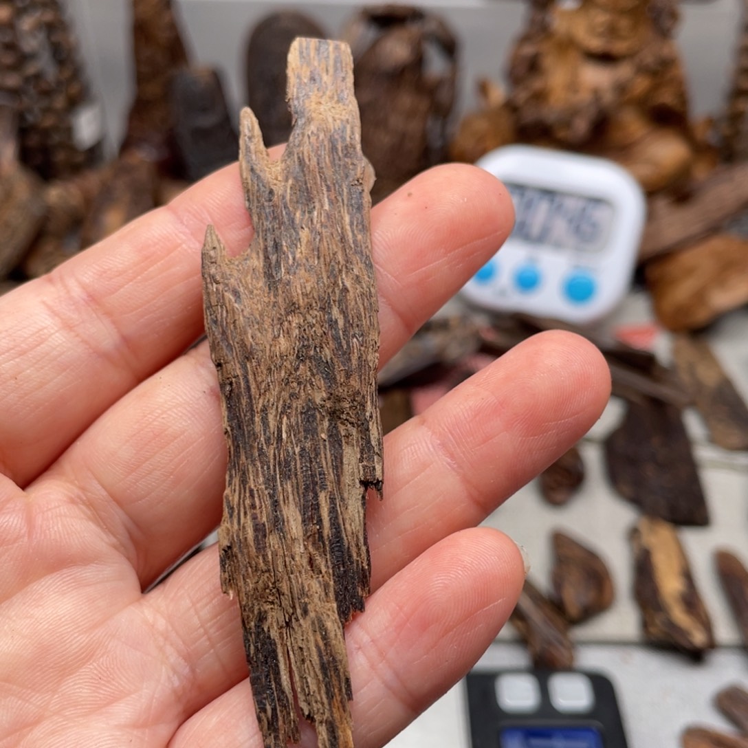 沉香碎屑沉香文莱九分