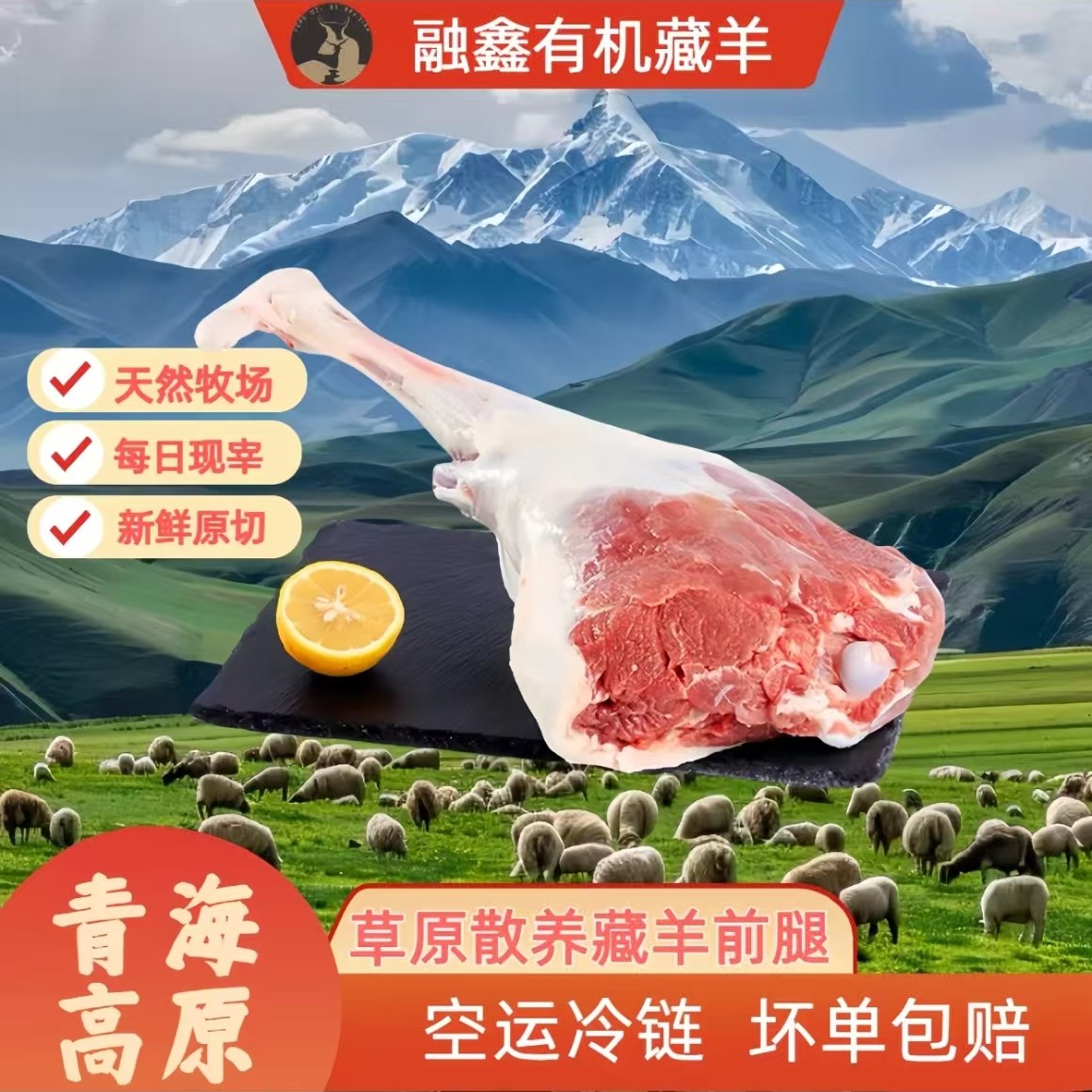 青海河南县天然牧场欧拉藏羊羊腿肉不膻顺丰包邮成都实体店直发