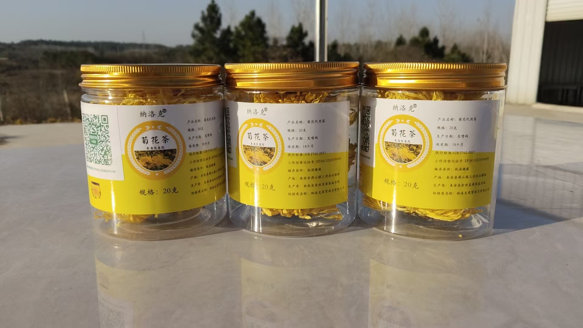 【大朵菊花三罐装】精品灌装金丝皇菊