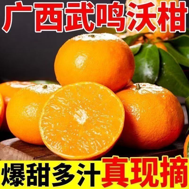 D【赠开果器】广西正宗武鸣沃柑新鲜采摘香甜多汁皮薄老树农家桔子