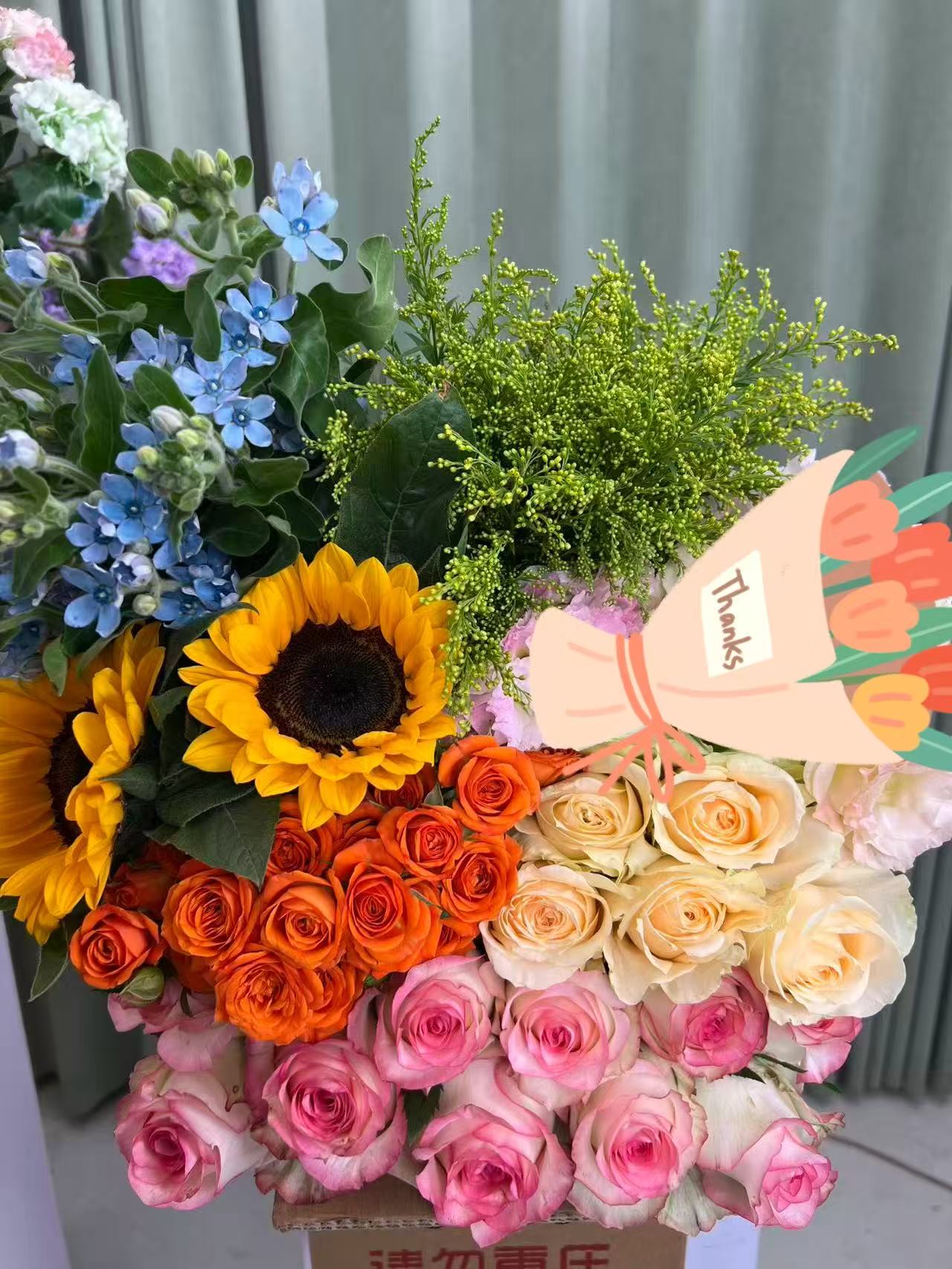 繁花似锦【艾莎向日葵鲜花福利套餐】云南昆明基地直发水养鲜切花