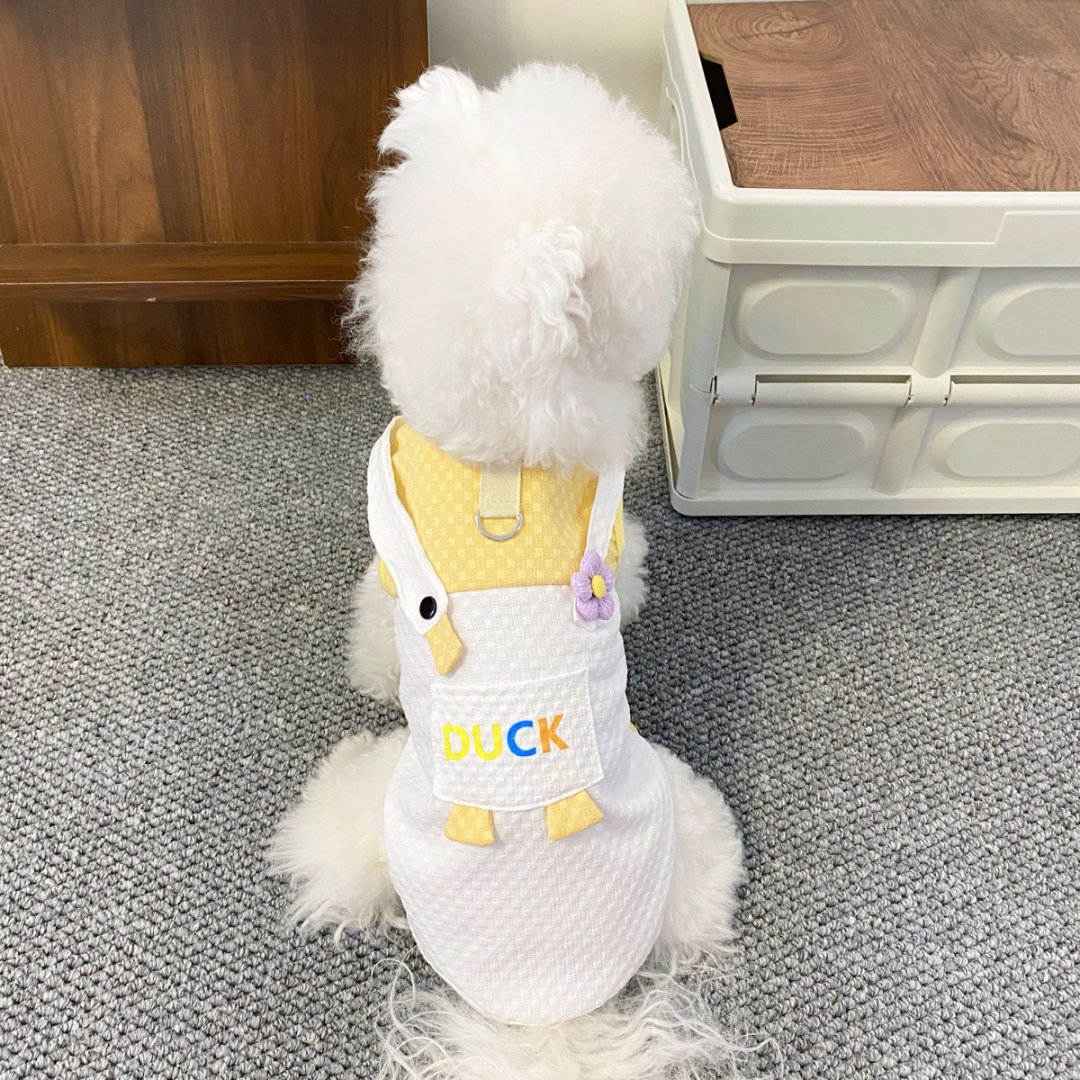 宠物搞怪大鹅口袋牵引背心小型犬泰迪比熊卡通两脚宠物狗衣服
