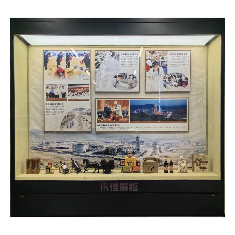 博物馆古董瓷器字画展示柜背柜沿墙柜靠墙柜恒温恒湿电动展示柜