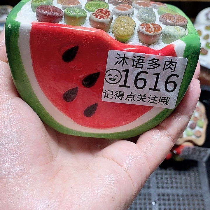 精美盆栽 一物一拍1616