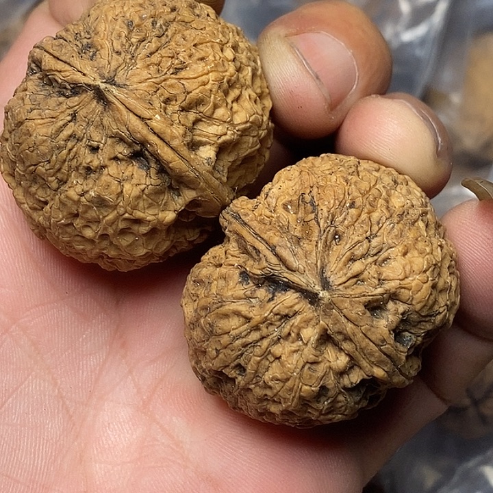 把件文玩核桃云南志成云铁12