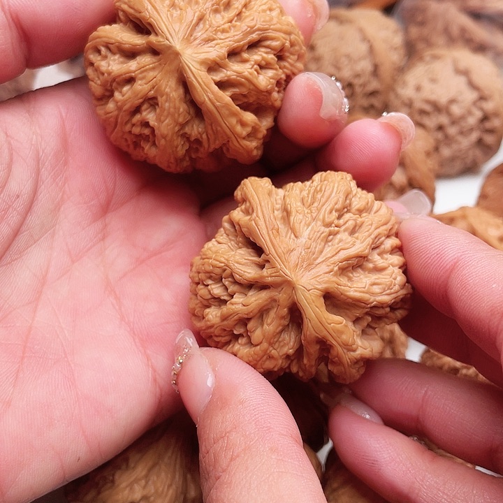 文玩核桃吊坠大粗筋