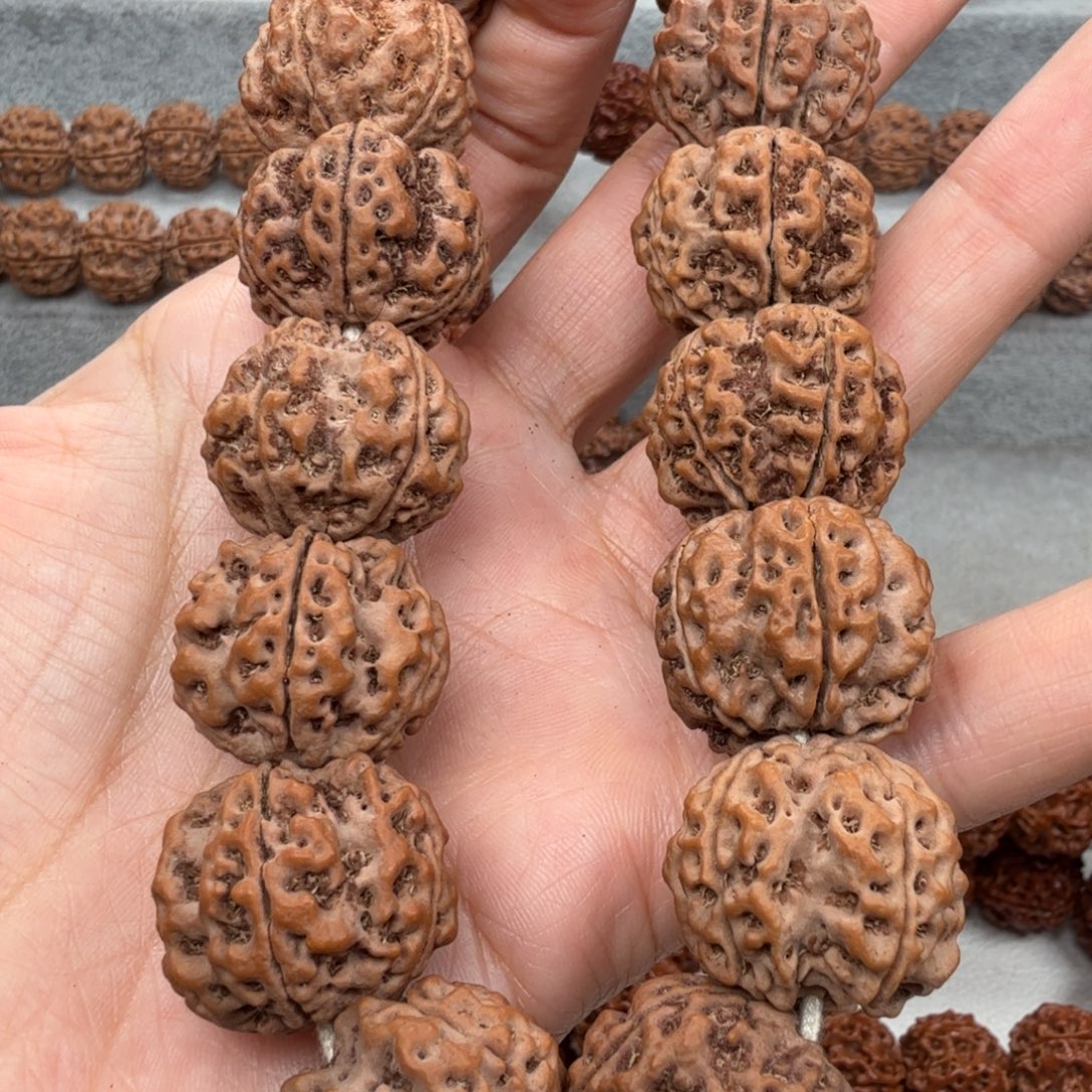 马***钱金刚菩提手串五面龙超头