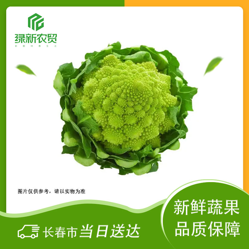 Y 宝塔花菜 约650±50g/斤