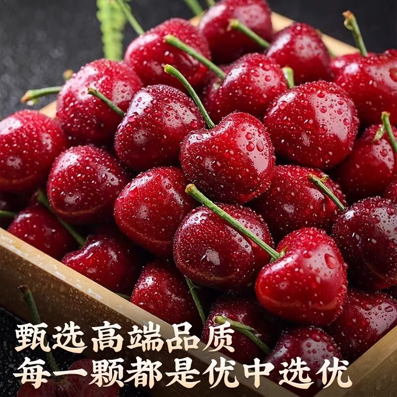 【小时候的味道】露天烟台大樱桃现摘先锋大樱桃