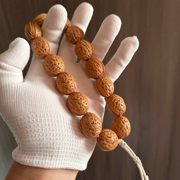 盘锦钱袋子蜜枣超头 一物一图