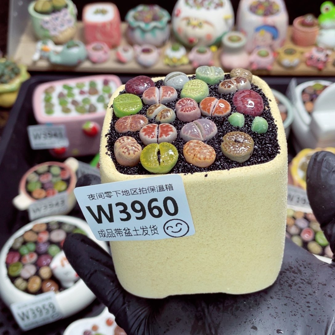 夜间零下地区拍保温箱w3960