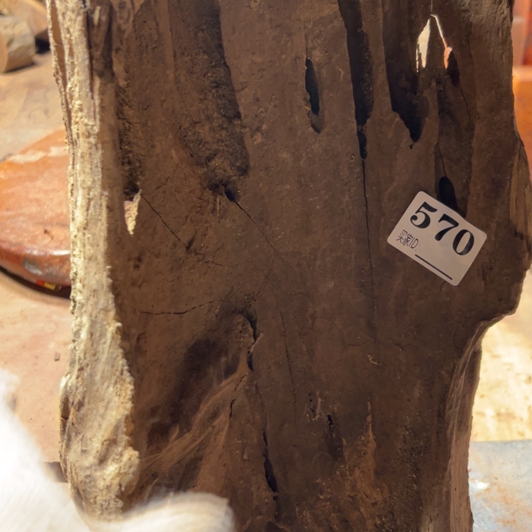 天***蛋大果紫檀（缅甸花梨）