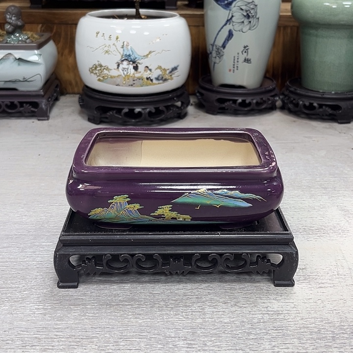 陶瓷花盆抢购福利活动