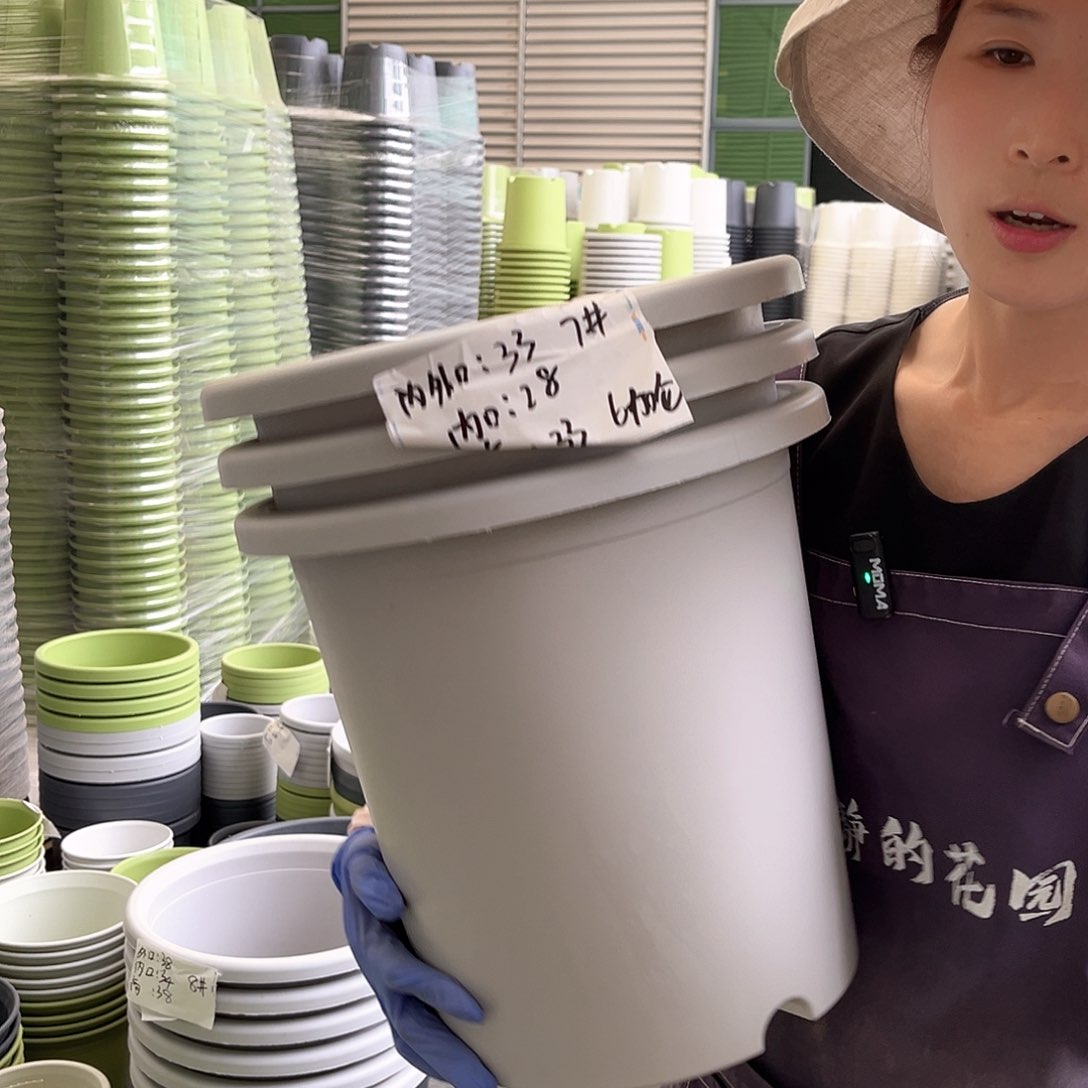 四季盆7#灰白色6个无托