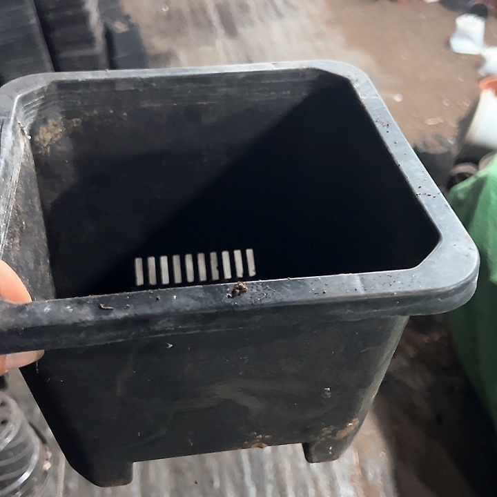 塑料口径21.5高度15黑方一组5个