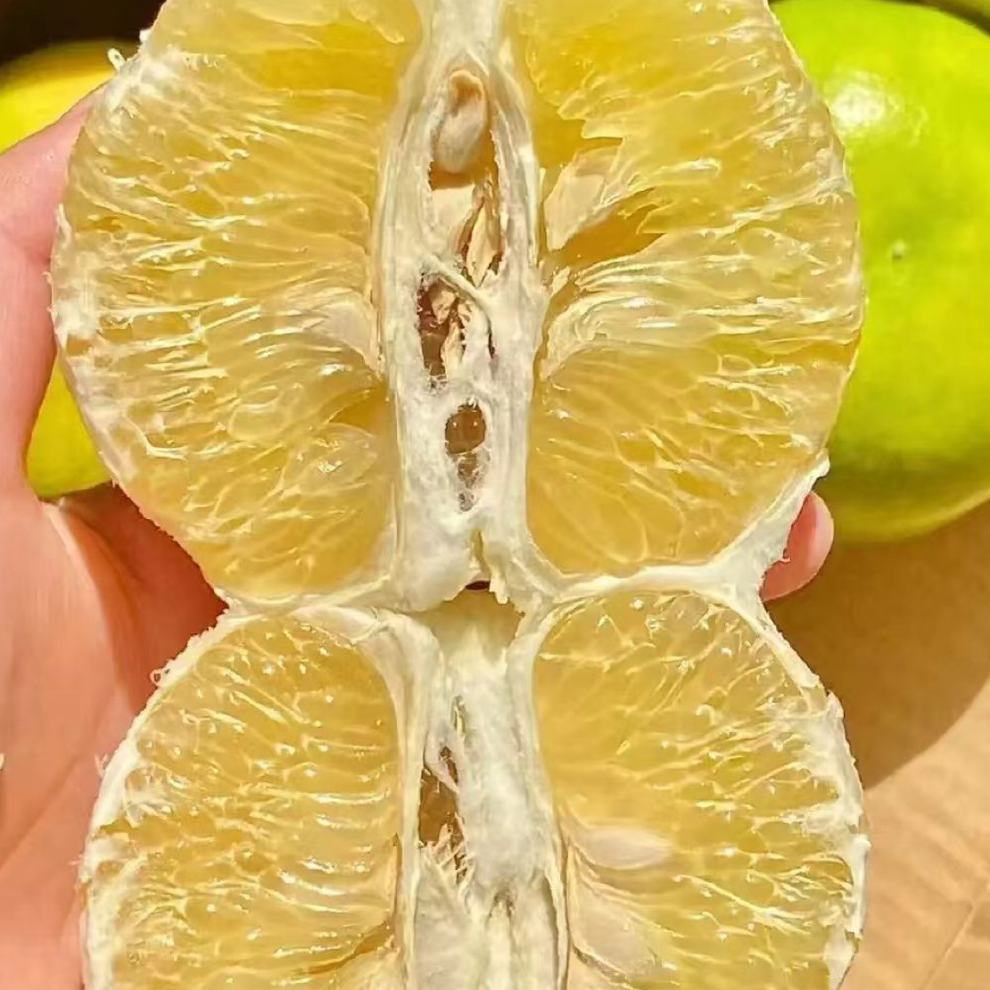 （小林哥专属）新鲜葡萄柚清甜多汁应季水果
