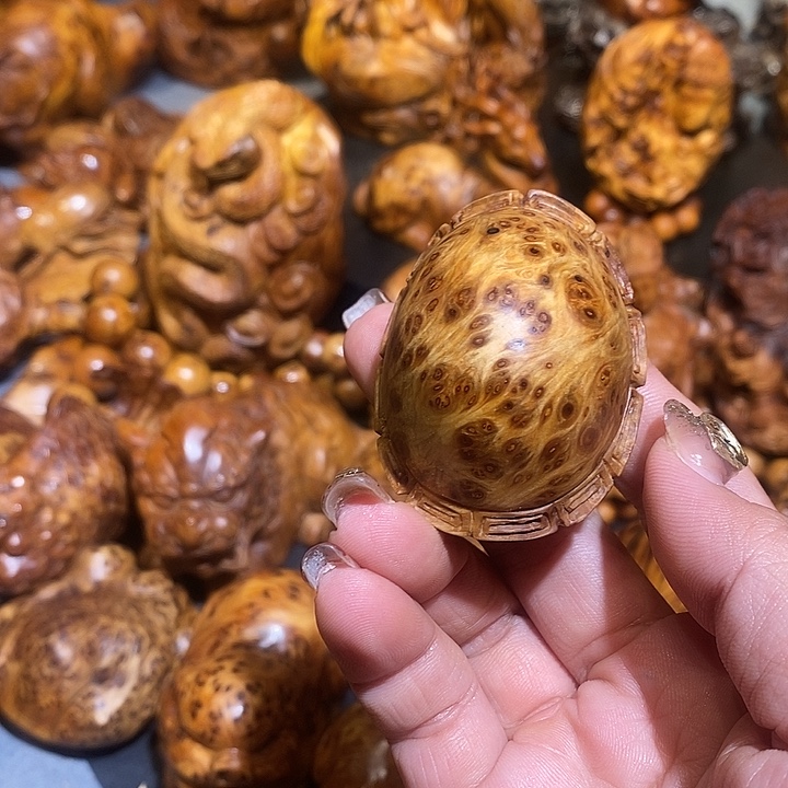 老***蒯柏木太行崖柏陈化