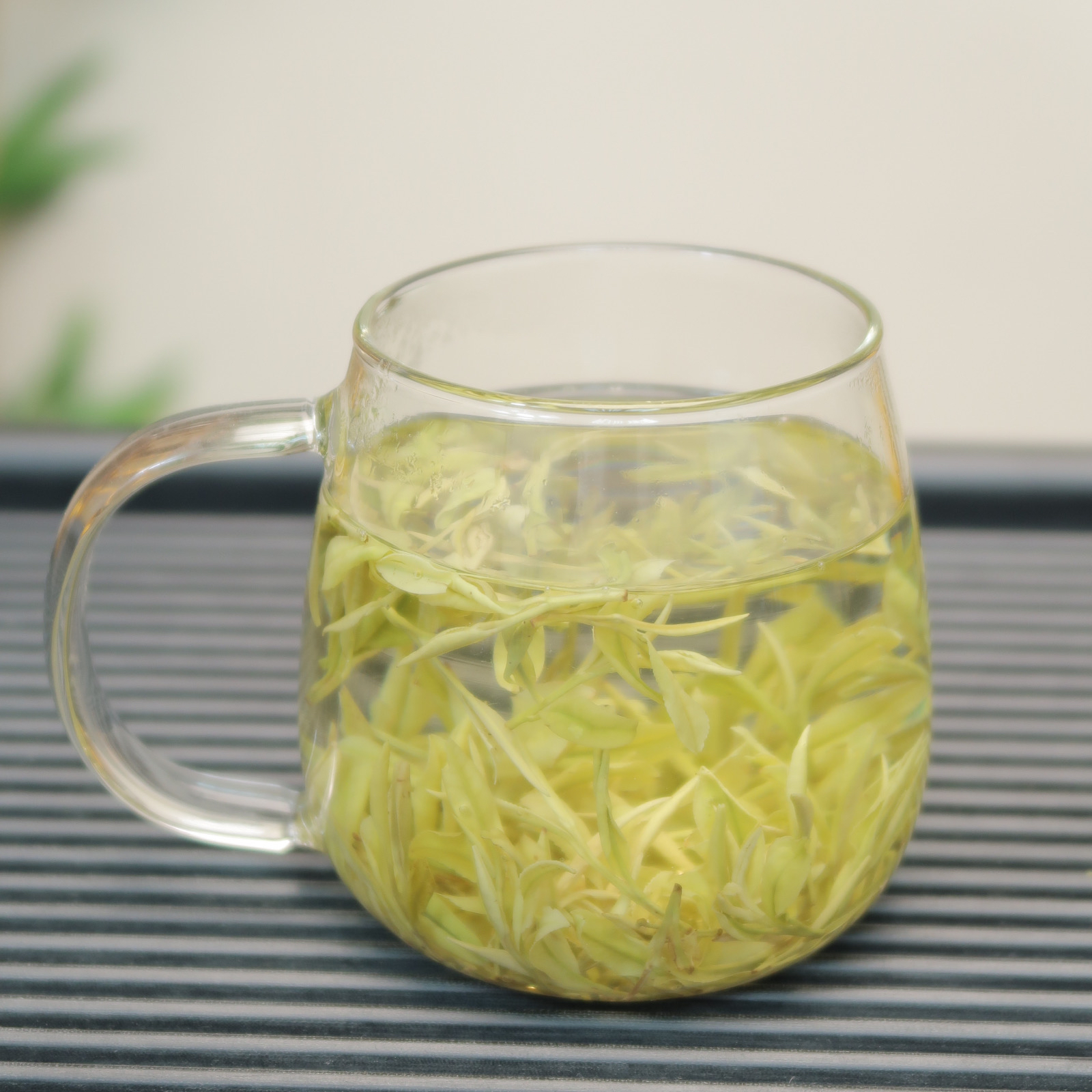 2025 安吉奶香熊猫茶 奶香馥郁 明前茶 398款