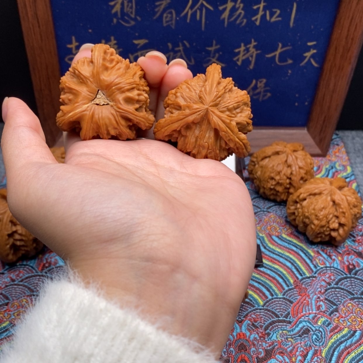 【闪购商品】︶****ゝ白狮