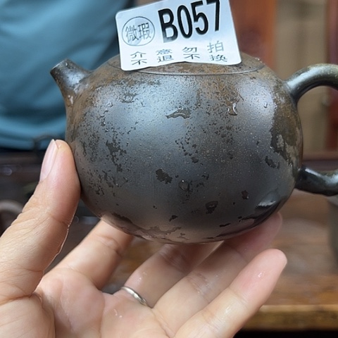 戬谷龙窑柴烧茶壶057