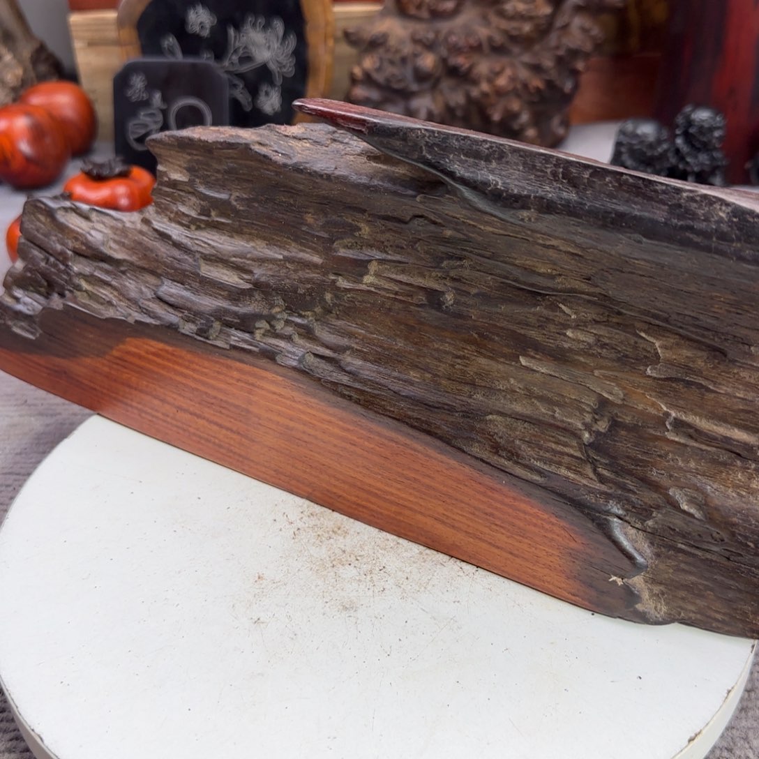 大果紫檀（缅甸花梨）守****动