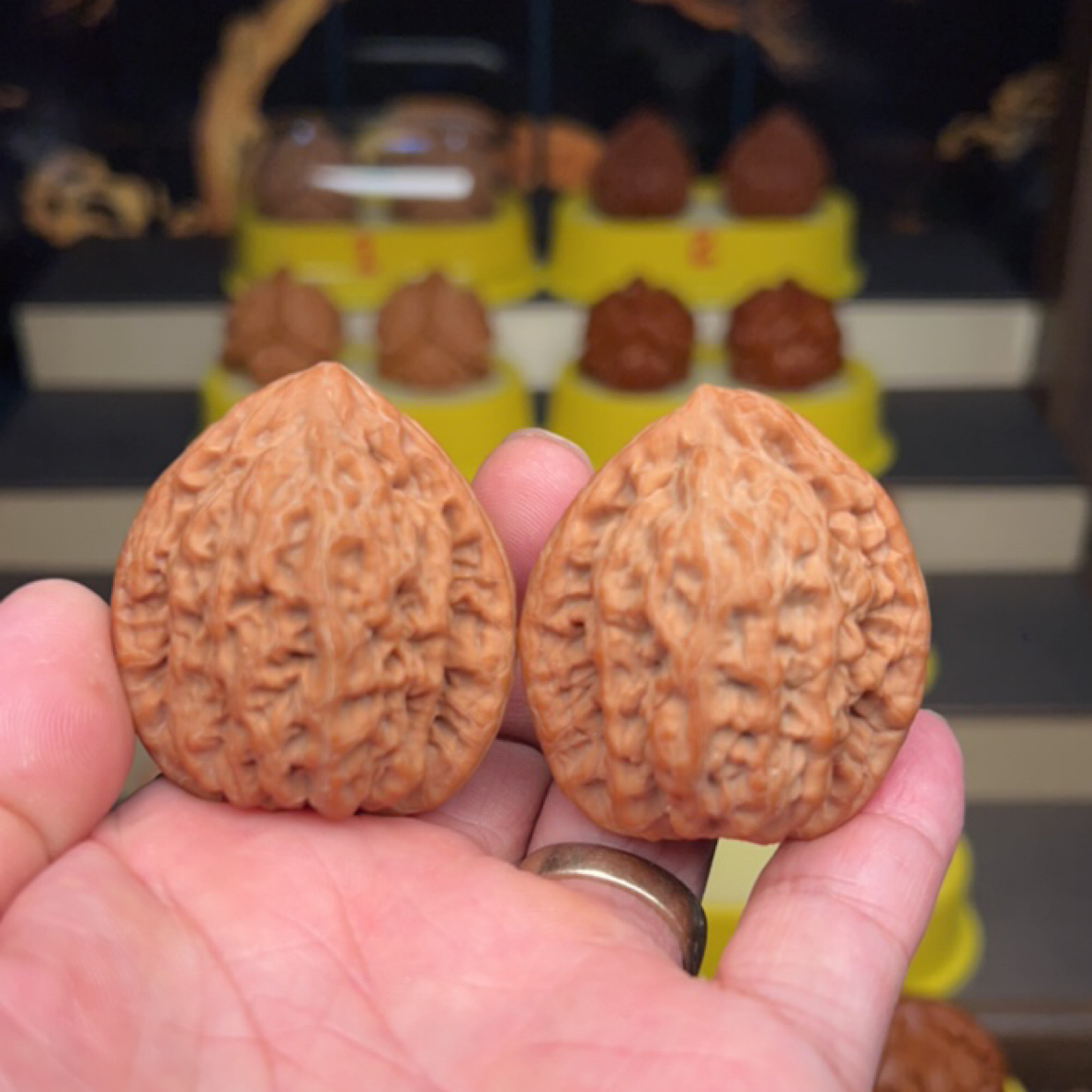 41尺全品三角金公子