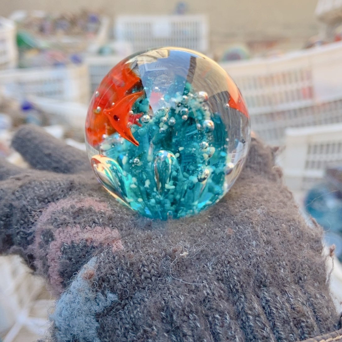 精品夜光5555587888855888