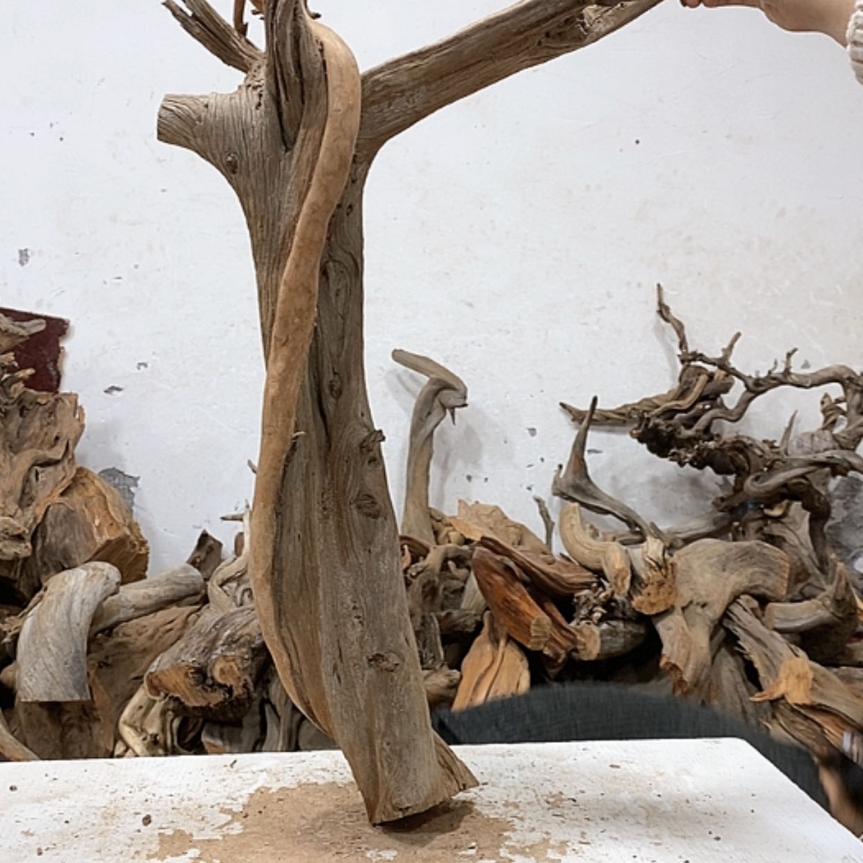 【闪购商品】柏木自**意我们都是好孩子