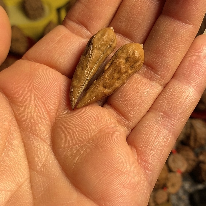 文玩核桃把件异形对