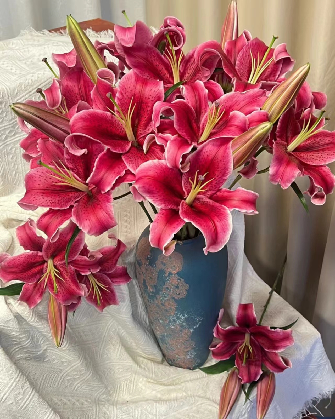 [热销黑美人 花苞较多掉1-2个花苞不售后能接受拍]基地现采现发
